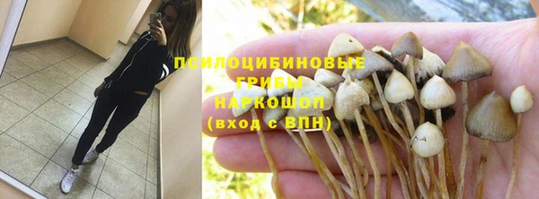 дмт Новозыбков