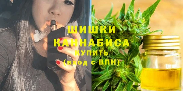 первитин Няндома