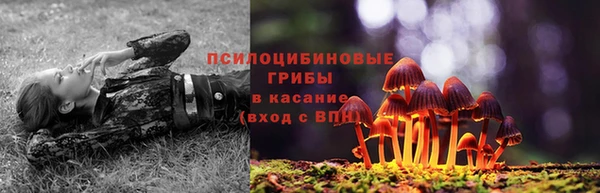 apvp Нязепетровск