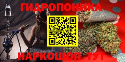 дживик Донецк