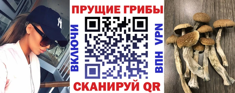 Псилоцибиновые грибы Magic Shrooms  Знаменск 