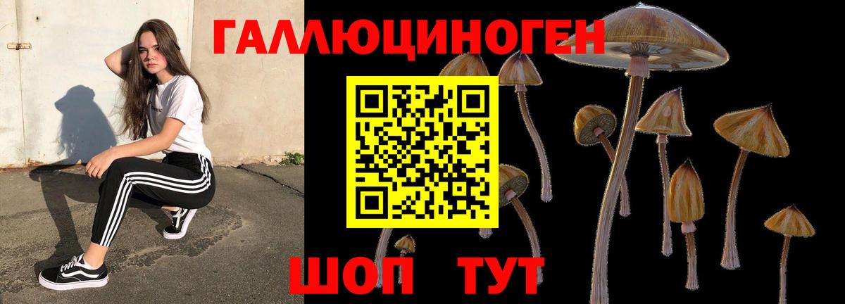 Псилоцибиновые грибы GOLDEN TEACHER  Вход с VPN  где можно купить наркотик  Знаменск 