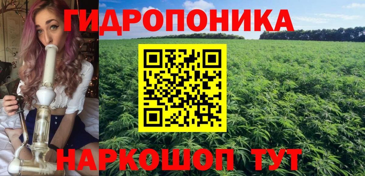 Канабис семена  Конопля White Widow  Знаменск  Каннабис план 